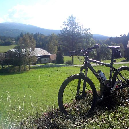 Ferienhaus Mit Seeblick Waldkirchen Eksteriør bilde