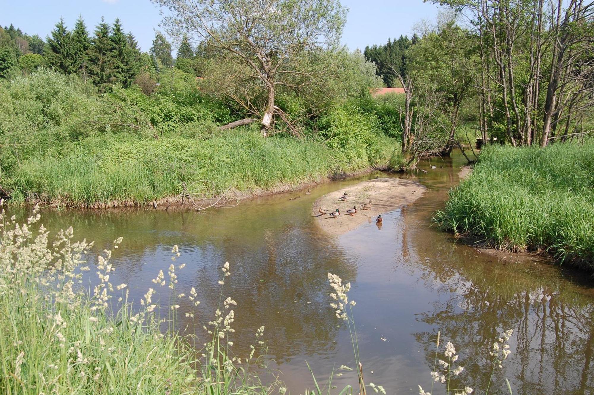 Ferienhaus Mit Seeblick Waldkirchen Eksteriør bilde